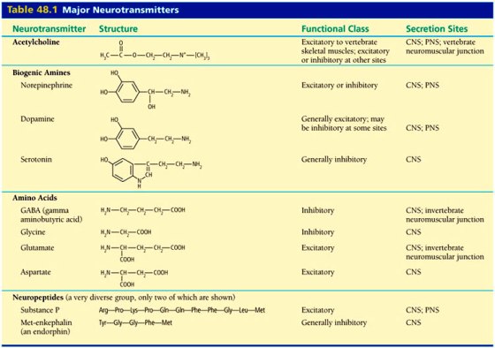 neurotransmitters_table